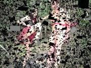 femdom kicks in woods 2/16