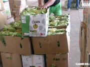 CARNE DEL MERCADO - Chubby Latina Xiomara Soto Picked Up To Get Pounded 1/16