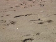 Gorgeous Teen Agnes Bathes Her Beautiful Naked Body In The Ocean! 7/16