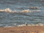 Young Blonde Agnes Likes Getting Naked... IN PUBLIC?! 3/16