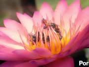 I swear its my first time 3/16