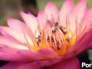 I swear its my first time 7/16