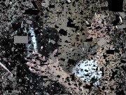 They press his face against their stinky, cheesy fee 1/16