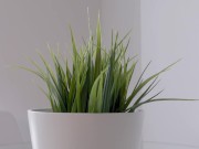 My 18+ Teen Roommate - 合租室友其实意外地很色情 3/16