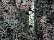 The cruel nurse bl ackm ails her elderly patient into giving her his last savings. 1/16