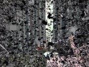 The sadistic home nurses amusement object! 1/16