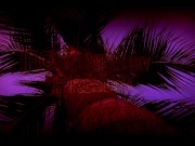 Biker girl make blowjob on the parking and cum swallow 1/16