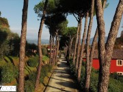 TUSHY Babe Gets Anal Workout 1/16