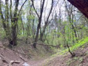 Неожиданная Встреча в Лесу с Другом и Девица в Экстазе - Bunny_Rabbits 3/16