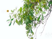 The Passion Of Sex While Sitting On The Cock Conquers The Feeling-MDAG-0003 3/16