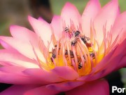 Alice-----picked-----the-----wrong-----hole? 7/16