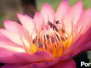 Alice-----picked-----the-----wrong-----hole? 9/16