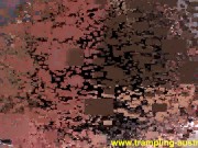 trample dominatrix 9/16