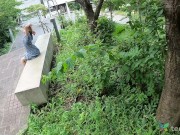 Stripping for us in Tokyo Japan, nude sexy hot model wants to masturbate her cute pussy, Miyu Shiratori 1/16