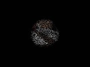 feet sniffing slaves 6/16