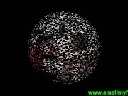 foot sniffing fetish 14/16