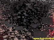 fetish feet licking 9/16