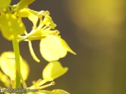 That Pussy Deserves To Be Fingered Hard 6/16