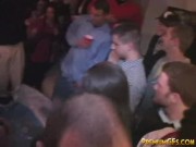 Two Striptease Playing 16/16