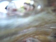 ANGELA WHITE - Busty Bikini Threesome with Violet Myers and Lena Paul 14/16