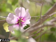 TUSHYRAW Pink-haired Beauty Loves Anal 1/16