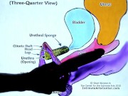 SQUIRTING TUTORIAL 2 !!! Mr PussyLicking 5/16