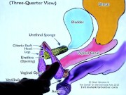 SQUIRTING TUTORIAL 2 !!! Mr PussyLicking 7/16