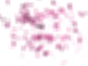 Girlsrimming - Professional gets a nice rimjob from sexy brunette Vivian Grace 14/16