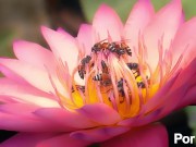 I-----saw,-----I-----conquered,-----but-----I-----never-----came 6/16