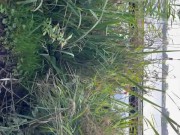 Young Hot Blonde lets me Play with her Pussy in Public Park - RISKY PUBLIC POV 2/16