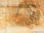 Beauty And Lust On Display In Asia 7/16