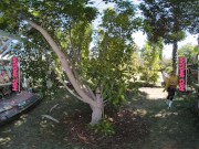 VR Conk Garage hot sex with Chanel Camryn as Cindy Aurum from Final Fantasy XV VRPorn 3/16