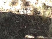 Misty Blowjob in Public 13/16