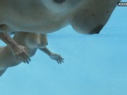 Hottest babes in the swimming pool alone 8/16