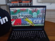 Сделал ставочку - получишь палочку 1/16