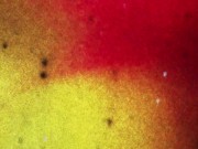 BLACKTGIRLS: Big ass black tranny gets oiled up and masturbates 1/16