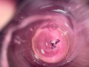 Camera deep inside Mia's teen creamy pussy 4/16