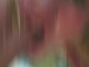 Ben Dover shorts 1 16/16