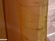 The Nutting Professor 2/16