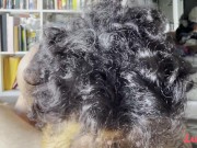 Tattooed Indie Chick Sucks & Rides Hard | Lustery 13/16