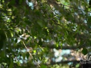 Cut - Couple Outdoor Sex In Camp - Bai Si Yin - MTVQ19-EP1 - High Quality Chinese Film 4/16