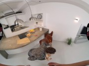 VIRTUAL TABOO - To Grannies House We Go And Fuck 3/16