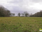 I started a sexy conversation with Lacey Starr, then we decided to continue the conversation and more at home 3/16