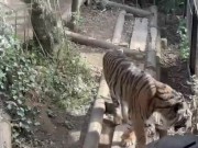 【個人撮影】祝日の午前中♡仕事へ行く直前の彼女とイチャイチャしてたら中出しsexに発展してしまう♡Japanese amateur hentai ／日本人／素人カップル／おっぱい／美少女 16/16