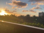 Hawaii Travel Vlog - Korean Girl Fucks Top-Spending Fan with Accidental Creampie WTF?! 2/16