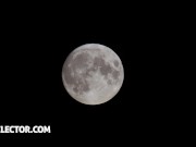 Lifeselector - Angelika Grays having MMF threesome 1/16