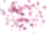 GIRLSRIMMING - Sexy blackhaired girl Lena Coxx shows gives a nice rimjob to her partner Alex in lauch break 15/16