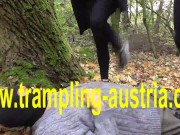 outdoor german brat trample 12/16