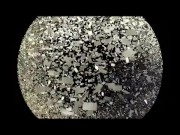 fetish fighting 1/16