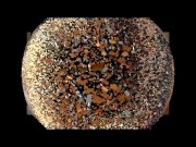 foot fetish girls 15/16